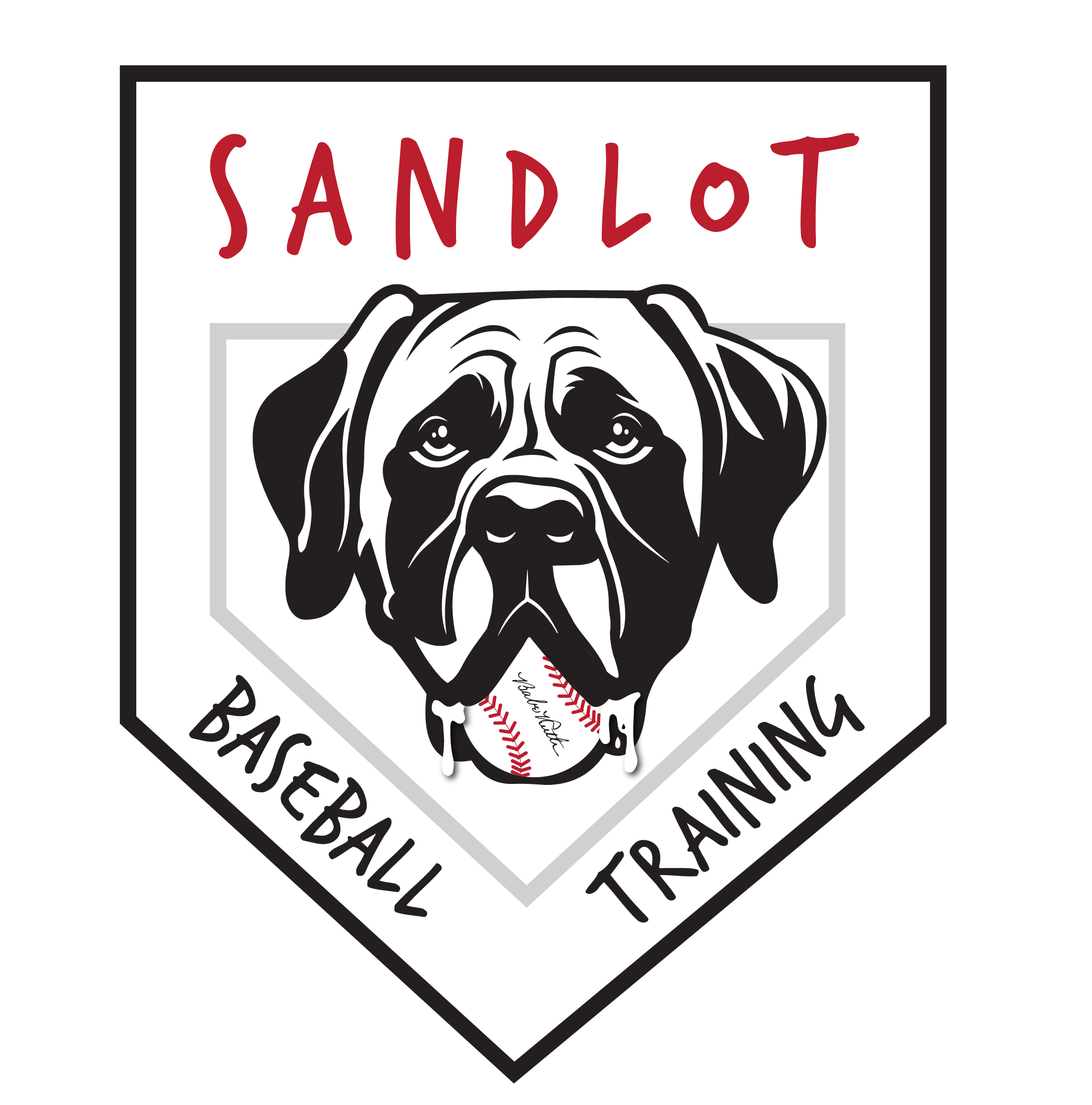 Sandlot Baseball Training