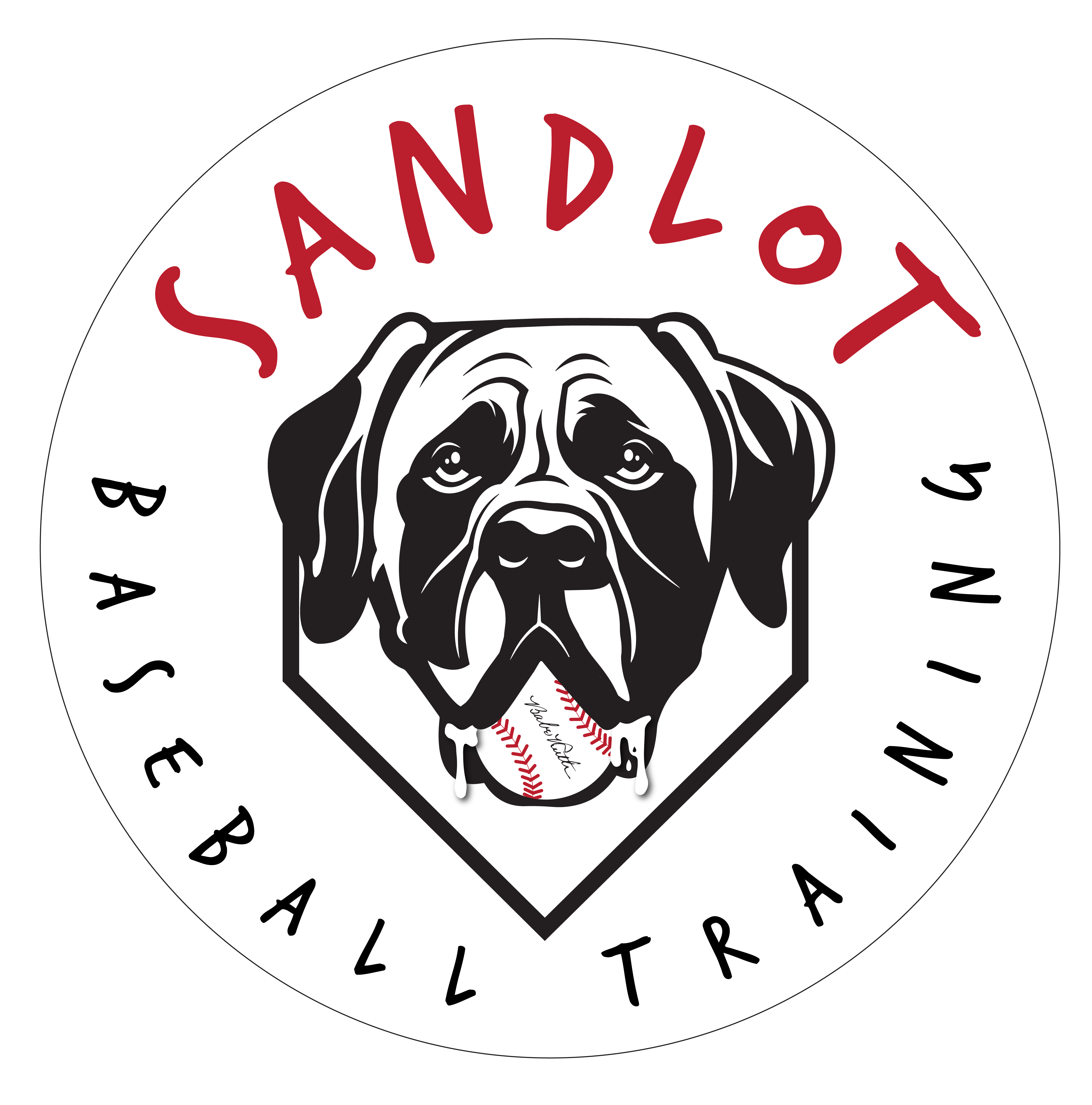 Sandlot Baseball Training